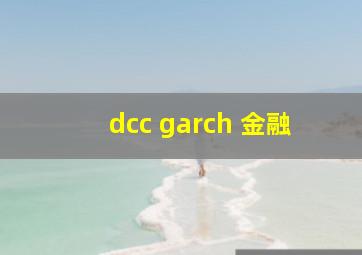 dcc garch 金融